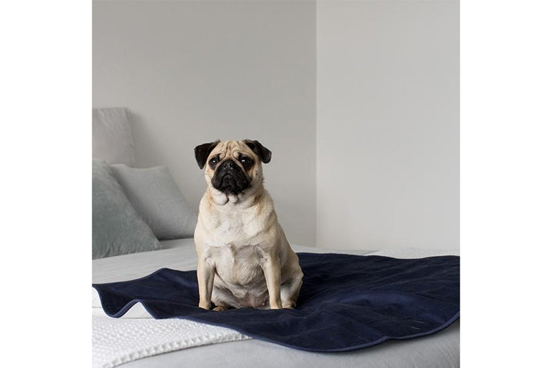 Brolly Sheets: Pet Bed Pad - Navy