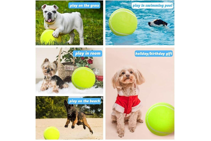 Durable Non-toxic Inflatable Big Tennies Ball For Small Medium Large Dogs