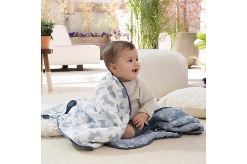 Aden + Anais: Dream Blanket - Waverly-Pup