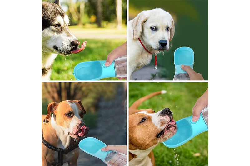 PETSWOL Portable Outdoor Pet Water Bottle Feeder - Green