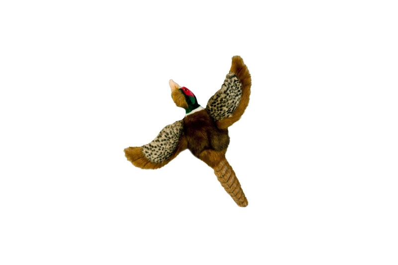 Dog Plush Toy - Pheasant Squeaky Interactive Small Life Like Bird - Puppy Play