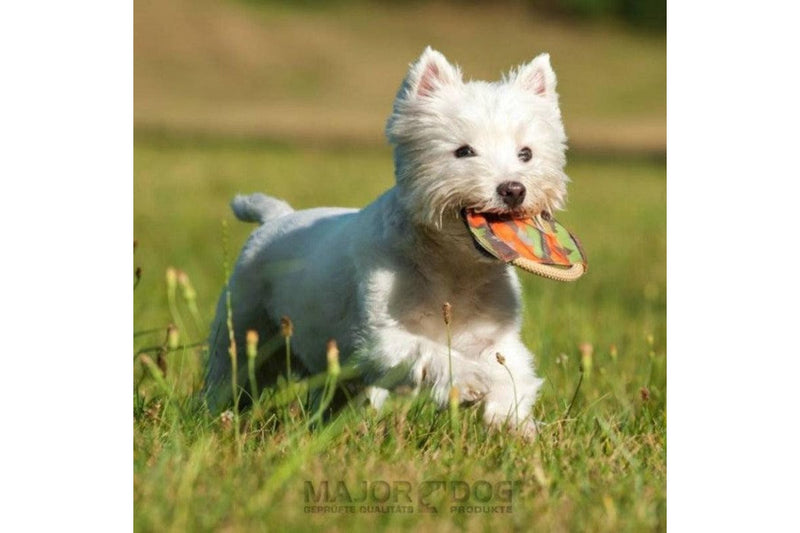 Major Dog Mini Frisbee - Fetch Toy - One Size