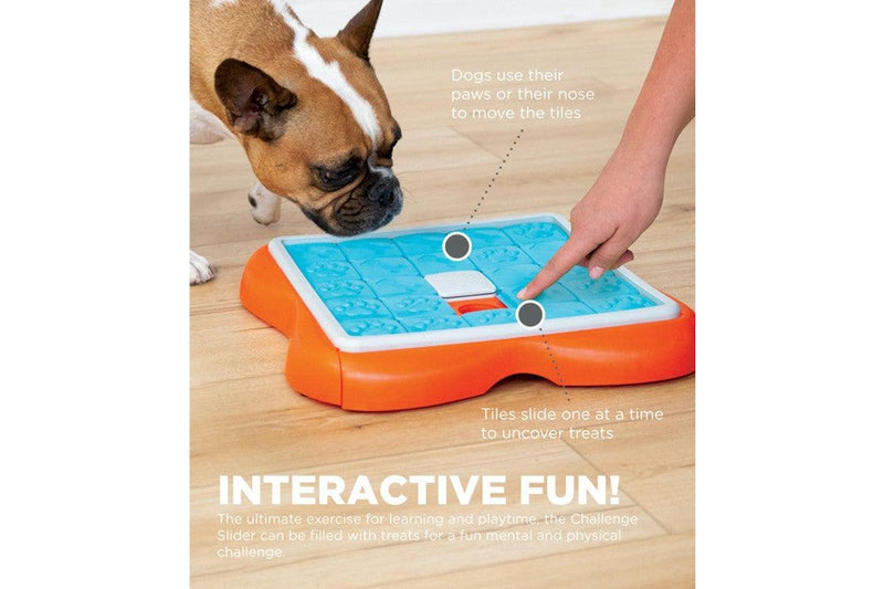 Outward Hound Challenge Slider Interactive Treat Puzzle Dog Toy - NZ Stock