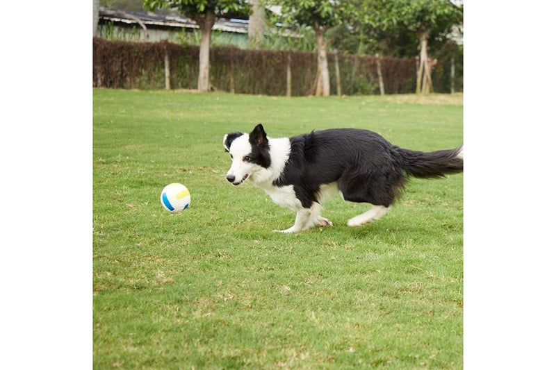 Floatable Bouncy Squeaky Rubber Dog Balls For Small Medium Large Dogs Water Sports Fetch And Play