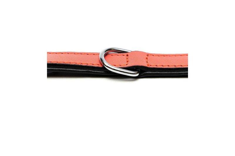 Dog Collar By Gloria Padded Coral 40 x 2 cm