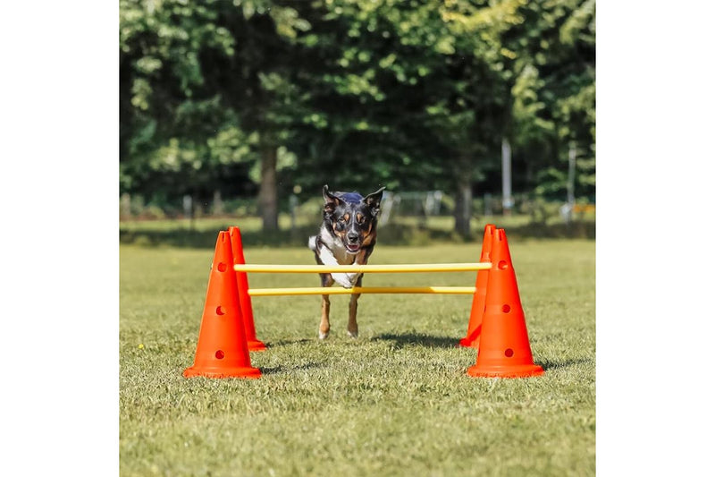 ZOOMIES Dog Agility Hurdle Cone Set - Orange