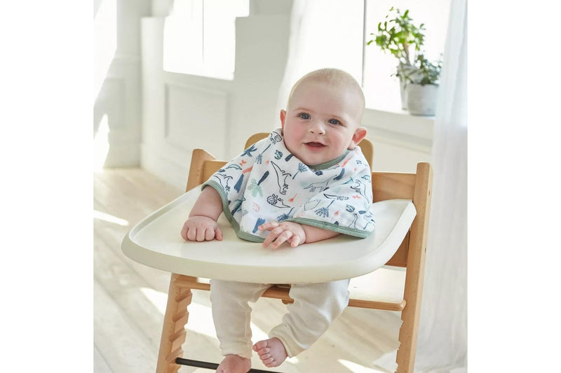 Aden + Anais: Classic Burpy Bib - Dinotime