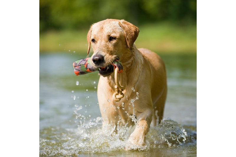 Major Dog Buoy Dummy - Small Fetch Toy - One Size