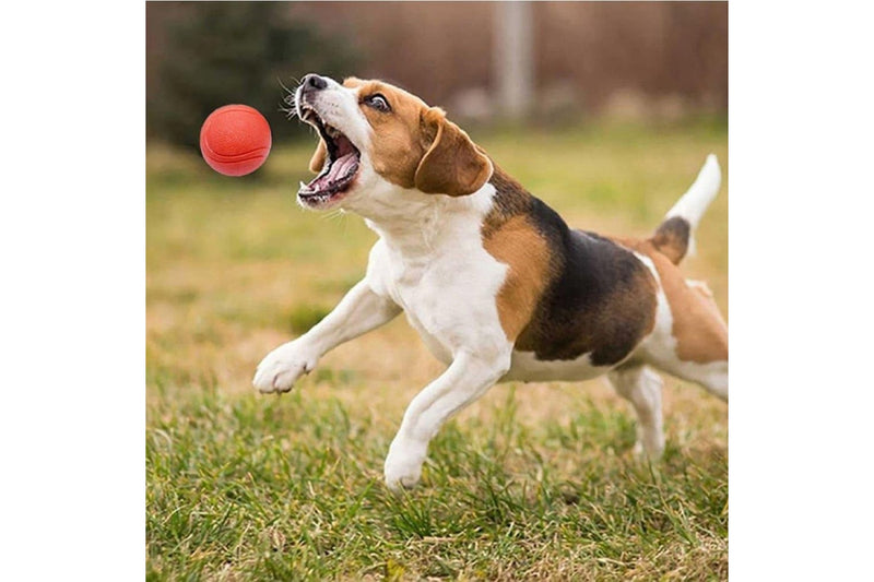 High-bouncing Solid Rubber Chew Ball For Small Medium Large Dogs