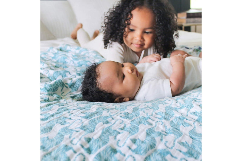 Aden + Anais: Dream Blanket - Dancing Tigers