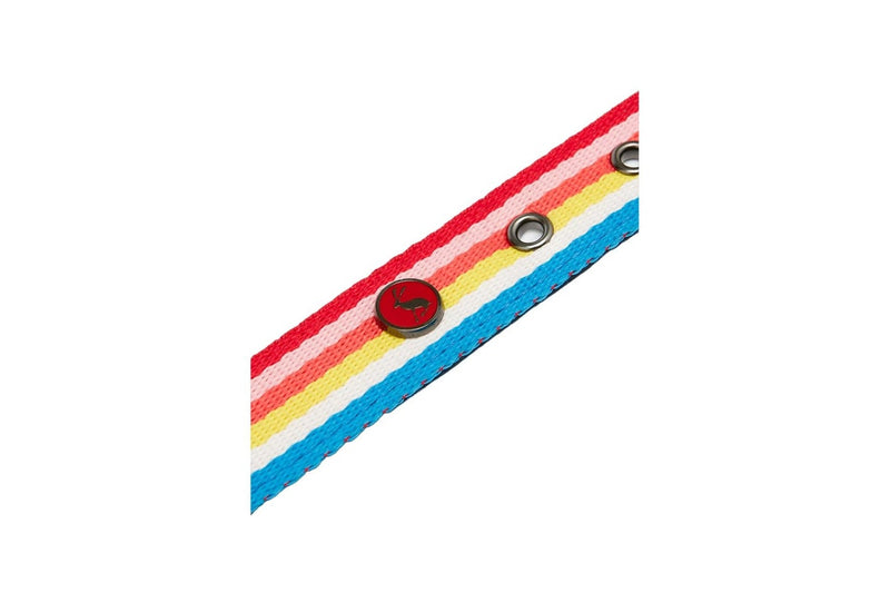 Joules Rainbow Striped Dog Collar (Multicoloured) (S-41cm)