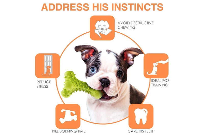 Durable Safe Non-toxic Rubber Puppy Chew Bone Toy For Small Large Dog Improves Dental Hygiene