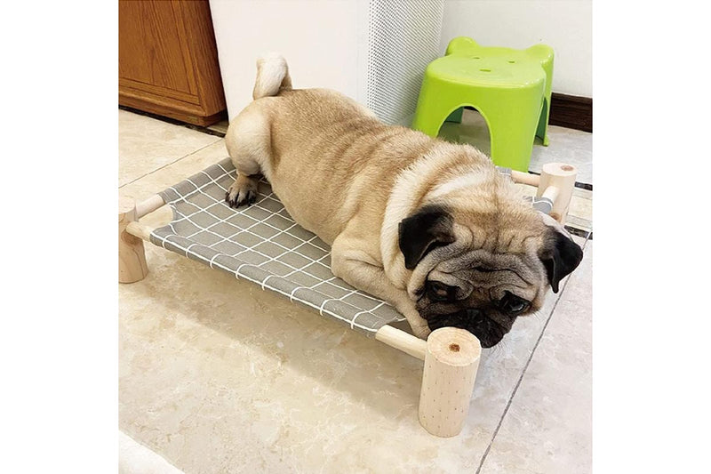 Removable and Washable Raised Pet Bed