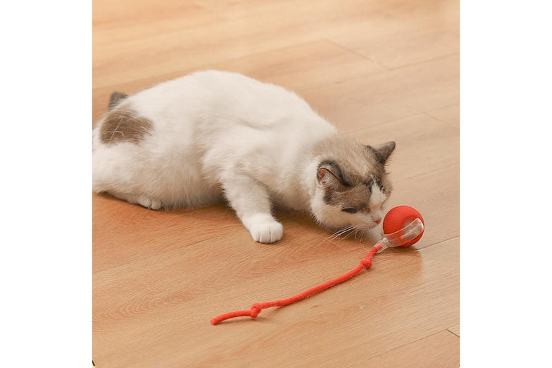 Interactive Cat Toy Ball Fast Rolling Chirping Motion Activate Cat Toy Red