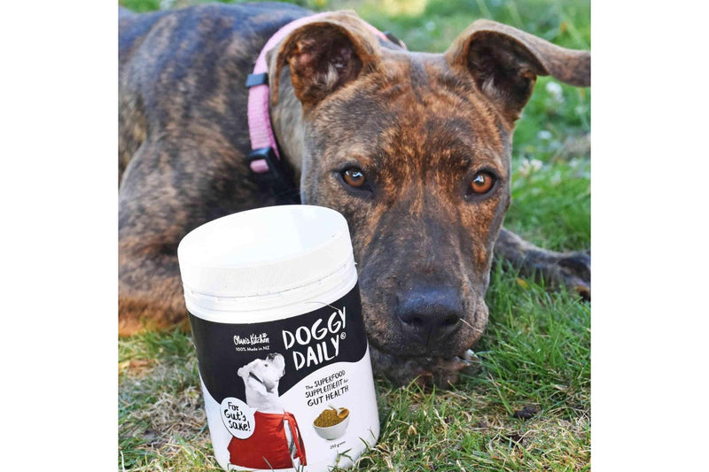 Olive's Kitchen: Doggy Daily Immunity Boost Supplement - 250g