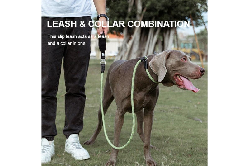 Pet Training Leash Slip Collar Dog Walking Supplies - Grass Green - M