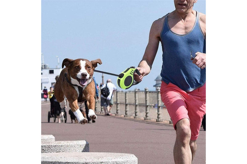 Retractable Dog Leash Extendable 5m With Folding Bowl Dispenser And Waste Bags Green