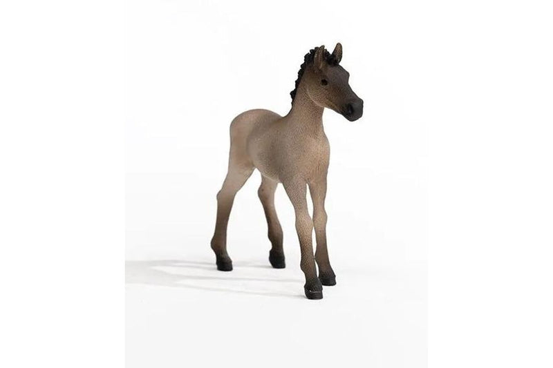 Schleich - Criollo Definitivo Foal