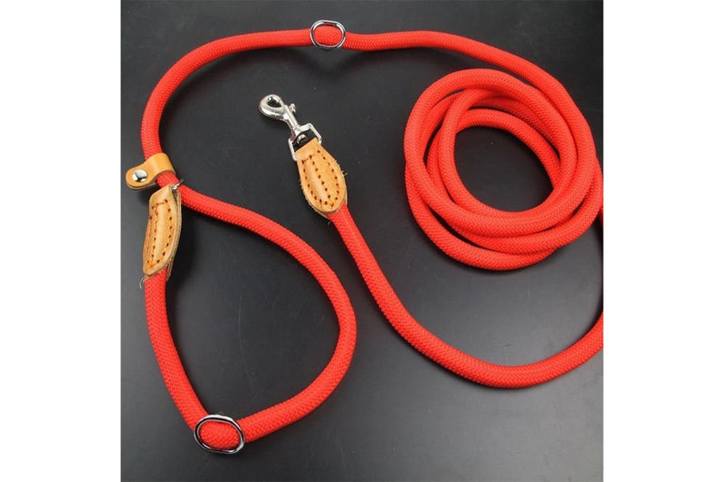 Multifunctional Dog Leash With p Shape Collar