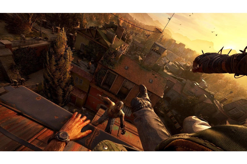 Dying Light: The Beast