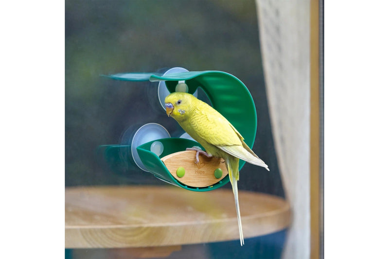 Hape: Window Bird Feeder - Green