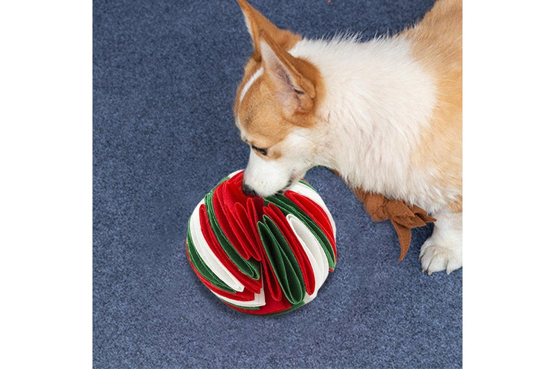 Pet Snuffle Ball Red