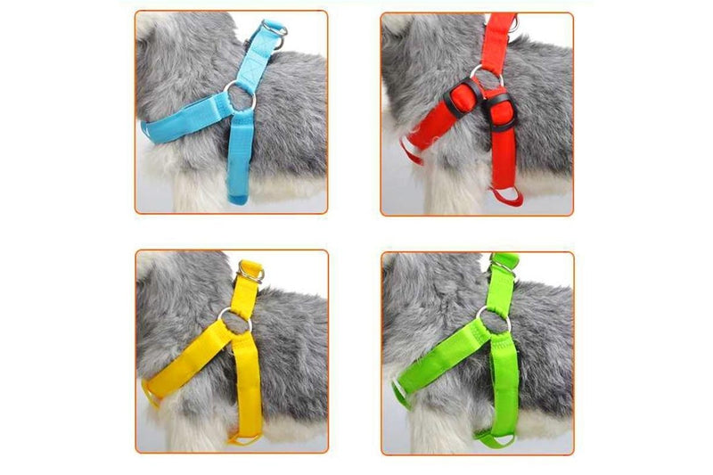 2 Sets of Usb Rechargeable Led Nylon Dog Collar Harness Flashing Light Up Safety Pet Collars P01 Red - M Chest 38-50 Cm