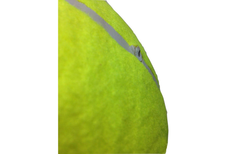 10" GIANT TENNIS BALL with BALL PUMP Air Inflator for Autographs Signatures