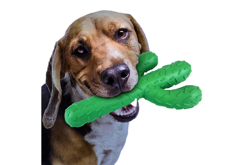 Cactus Shaped Dog Chew Toys Rubber Pet Teething Toy Interactive Dog Toys Dog Cleaning Teeth Toy