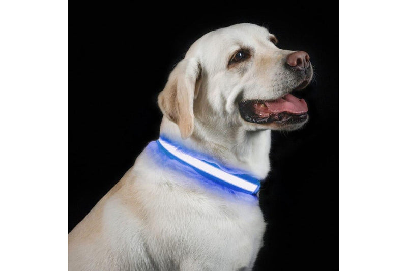 Usb Rechargeable Comfortable Reflective Bright Light Up Glow Collars For Small Medium And Large Dogs