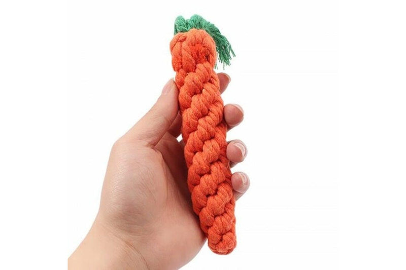 Handwoven Carrot Pet Cotton Rope Toy Bright Orange - Standard