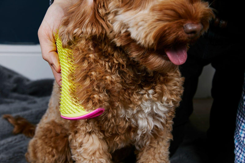 Pet Teezer: Detangling Brush - Pink/Yellow