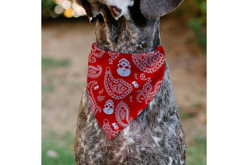 Pet Bandana - Red Skull Print