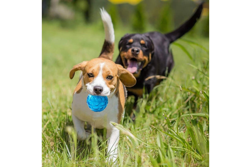 Floatable Squeaker Sound Dog Ball Toy For Small Medium Large Dogs