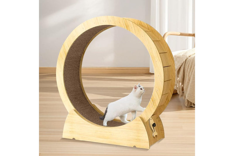 Cat Exercise Wheel