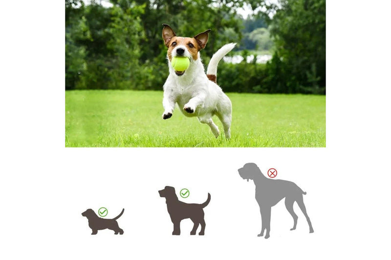 Automatic Ball Launcher Electric Interactive Ball Thrower Pet Dog Fetch Machine Green