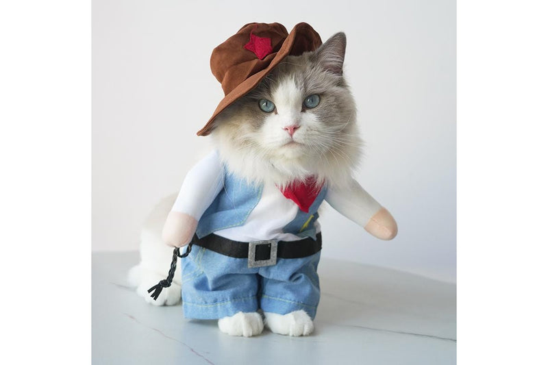 ZOOMIES Pet Cowboy Costume - Medium