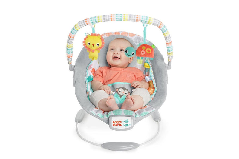 Bright Starts: Cradling Bouncer - Whimsical Wild