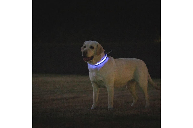 Usb Rechargeable Comfortable Reflective Bright Light Up Glow Collars For Small Medium And Large Dogs