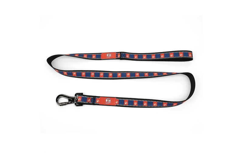 NRL Sydney Roosters Pet Dog Reflective Collar Walking 120cm Leash Lead Set