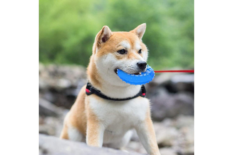 Freezable Pet Teether Cooling Chew Toy Pet Durable Teeth Cleaner