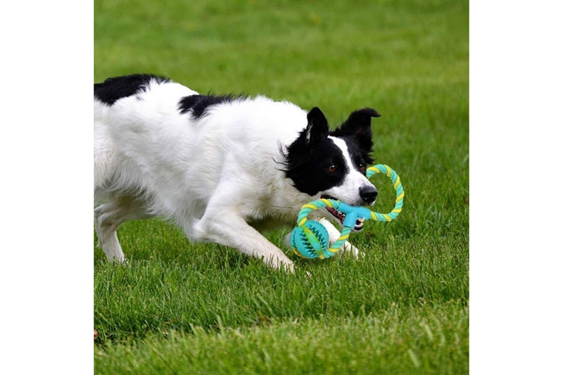 Durable Healthy Teeth Cleaning Rubber Chew Ball Toys For Medium Large Dogs