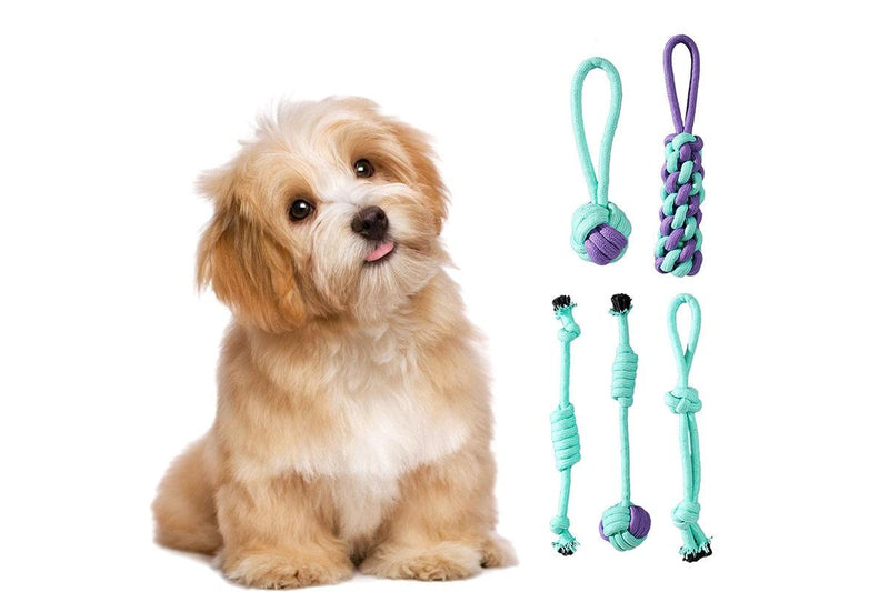 ZOOMIES 11-Piece Heavy Duty Leash Toy Set