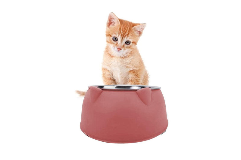 Tilted Dog Food Bowl Stainless Steel Cat Dog Feeder Pink