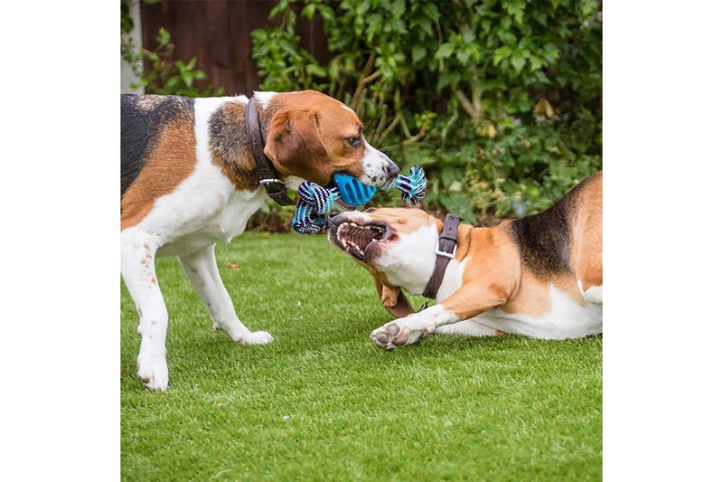 Eco-friendly Quality Pet Rope Chew Ball Toys For Puppies Teething & Relieves Stress