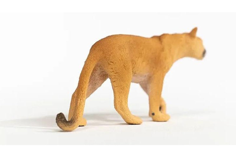 Schleich - Cougar