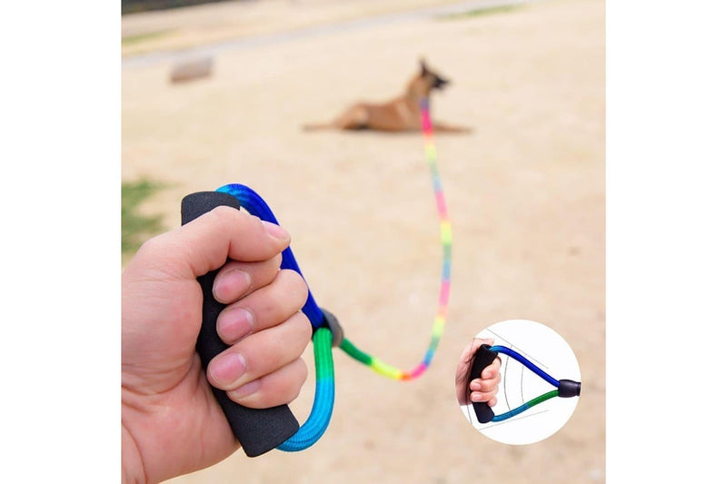 Rainbow Colour Dog Leash With Comfortable Handle