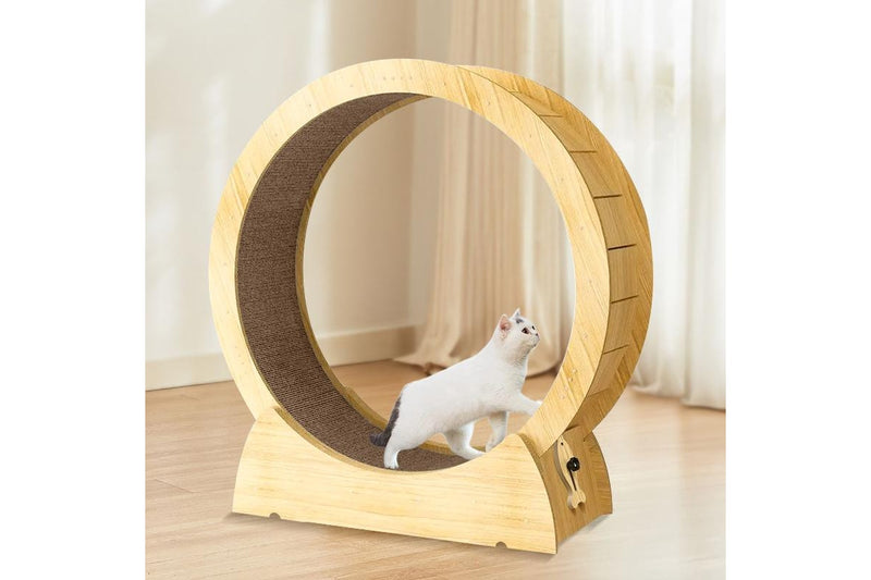 Cat Exercise Wheel