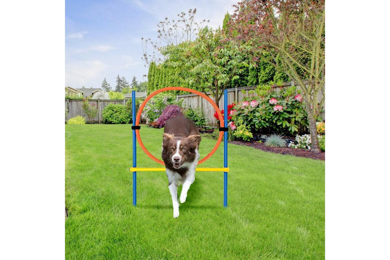 ZOOMIES Dog Agility Ring