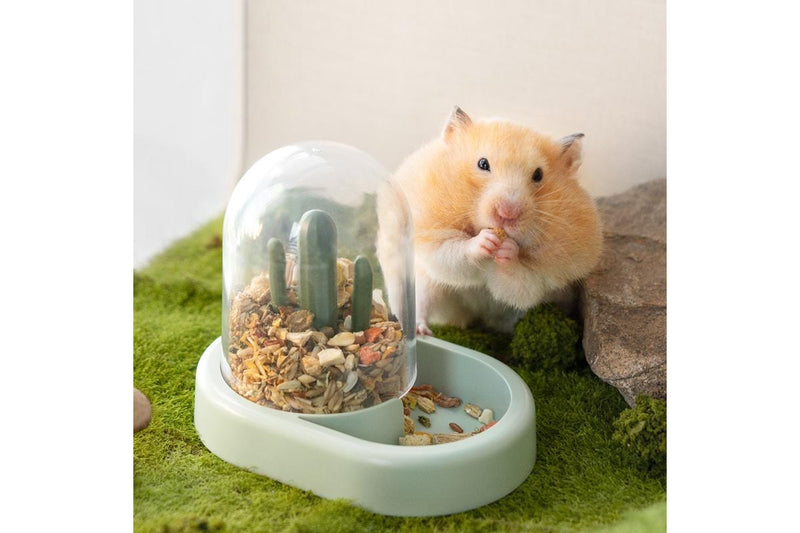 MEWOOFUN Hamster Sand Bath and Bowl Set - Green